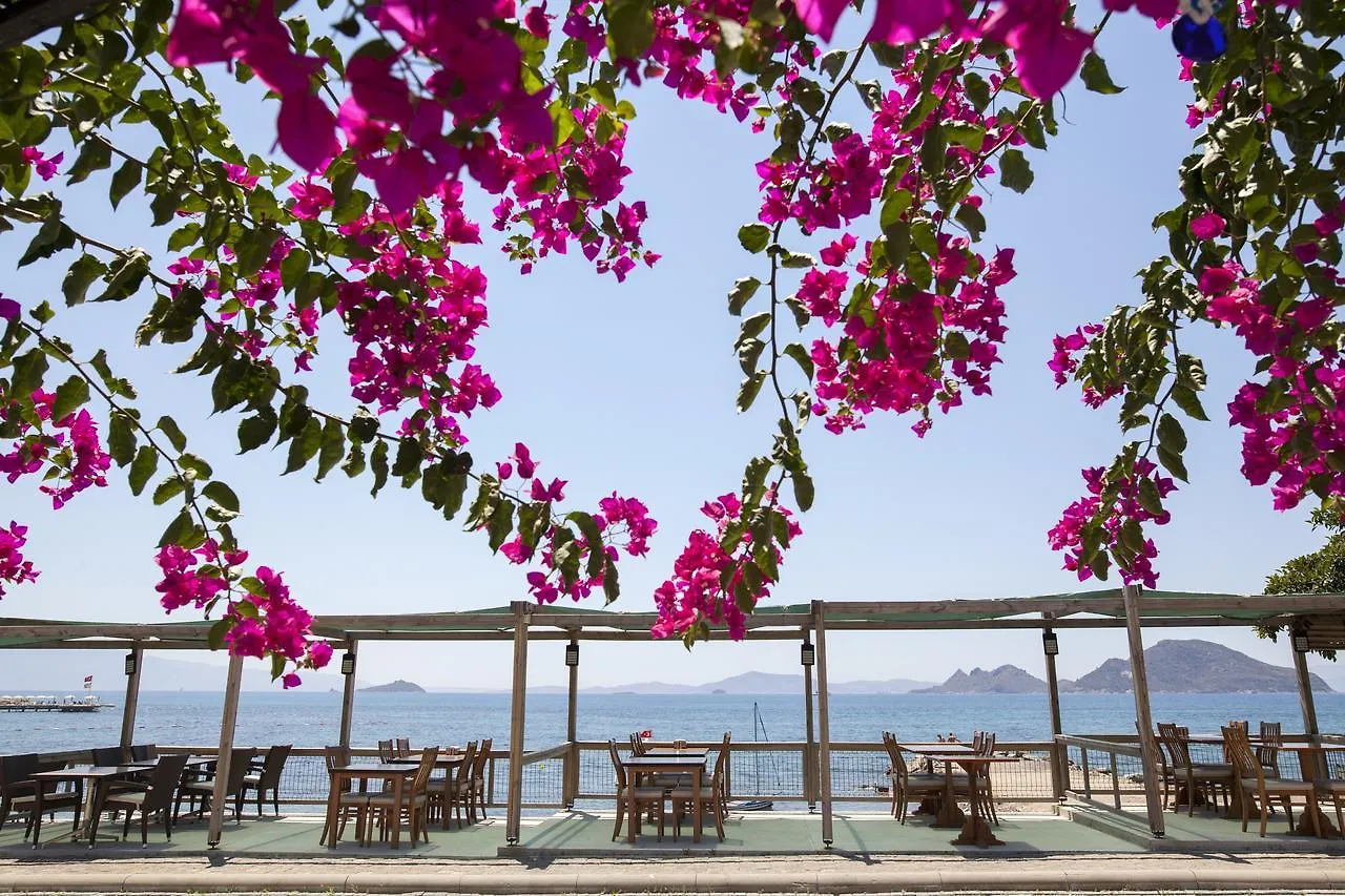 One More Day Hotel Turgutreis